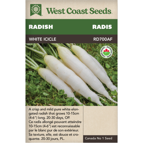 White Icicle Certified Organic White Radishes Vegetables Seeds - West Coast Seeds