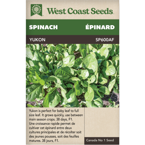 Yukon F1 Spinach Vegetables Seeds - West Coast Seeds
