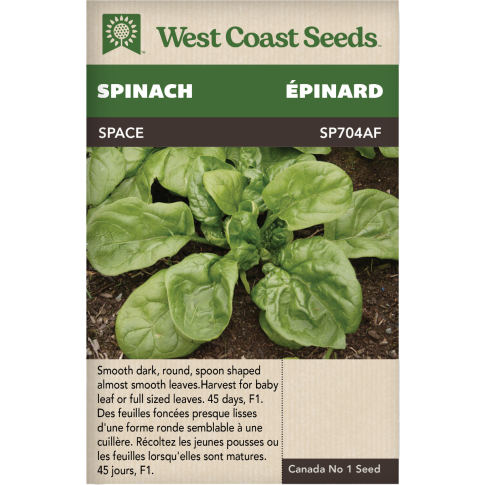 Space F1 Spinach Vegetables Seeds - West Coast Seeds