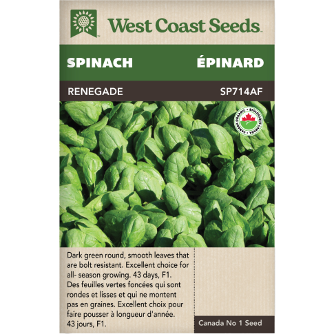 Renegade enrobée Épinards Légumes Graines Biologiques - West Coast Seeds