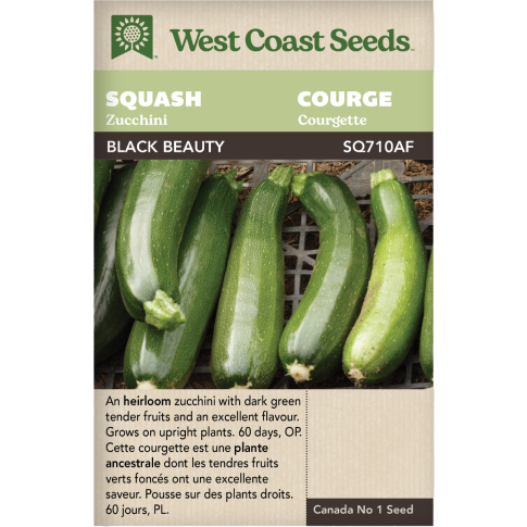 Black Beauty Courgettes Courge Légumes Graines - West Coast Seeds