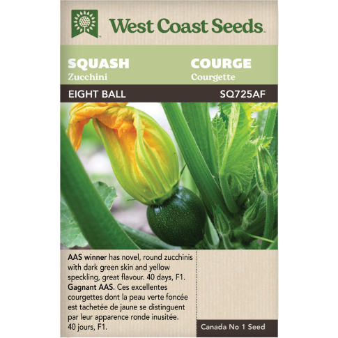 Eight Ball F1 Zucchini Squash Vegetables Seeds - West Coast Seeds