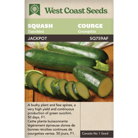 Jackpot F1 Zucchini Squash Vegetables Seeds - West Coast Seeds