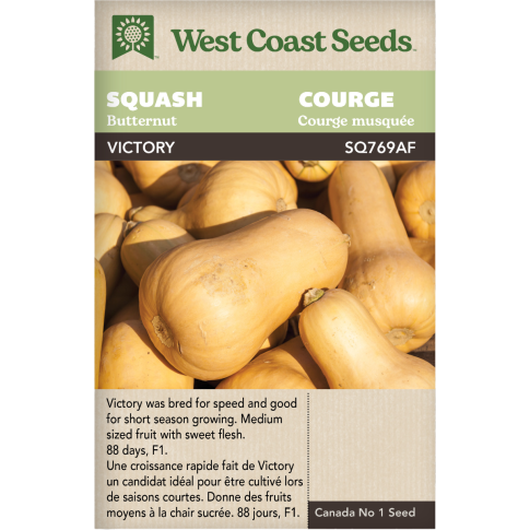Victory F1 Butternut Squash Vegetables Seeds - West Coast Seeds