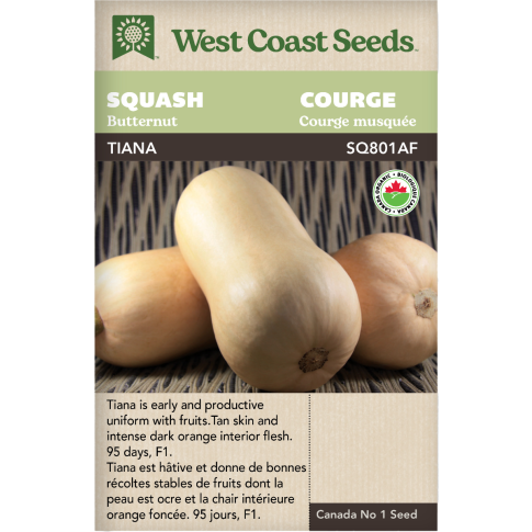 Tiana F1 Certified Organic Butternut Squash Vegetables Seeds - West Coast Seeds