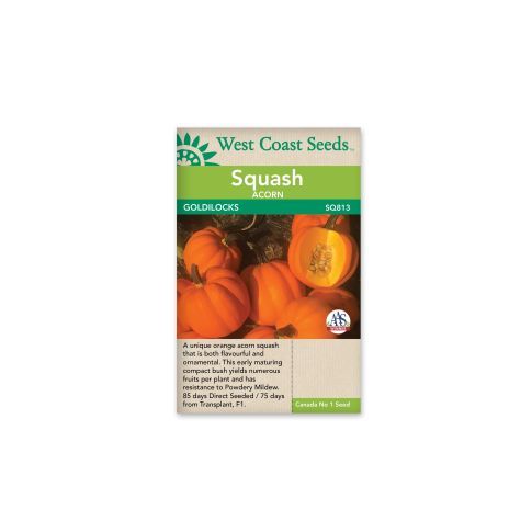 Goldilocks F1 (10 Seeds) Acorn Squash Vegetable Seeds - West Coast Seeds - SQ813A