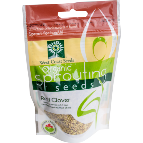 Red Clover Certified Organic Sprouting Clover Vegetable Seeds - West Coast Seeds - SS105A