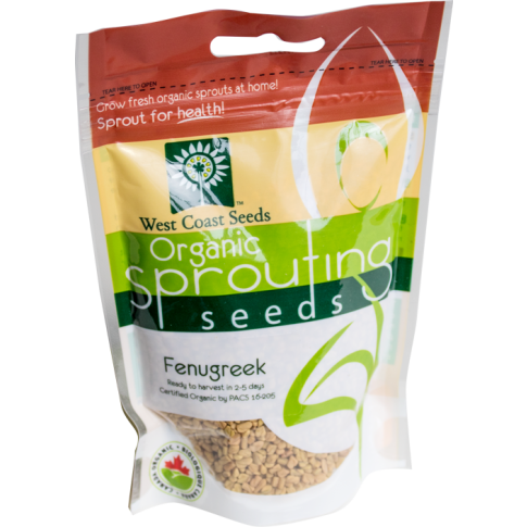 Fenugreek Certified Organic Sprouting Fenugreek Vegetable Seeds - West Coast Seeds - SS106A