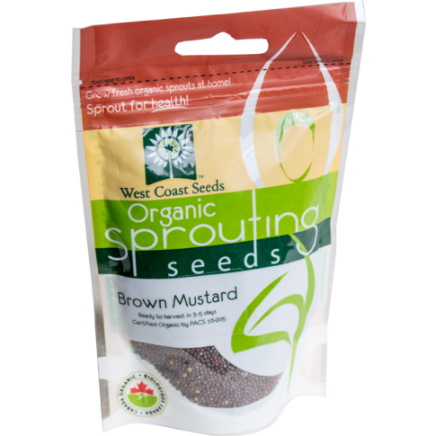 Brown Mustard Certified Organic Sprouting Mustard Vegetable Seeds - West Coast Seeds - SS108A