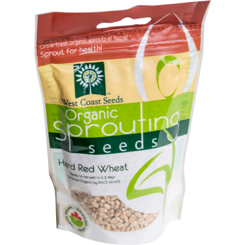 Wheatgrass Certified Organic Sprouting Wheat Vegetable Seeds - West Coast Seeds - SS112A