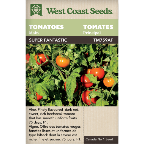 Super Fantastic F1 Main Tomatoes Vegetables Seeds - West Coast Seeds