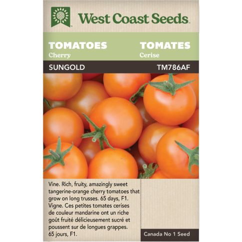 Sungold Cherry Cerise Tomates Légumes Graines - West Coast Seeds