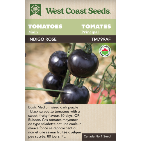 Indigo Rose Certified Organic Main Tomatoes Vegetables Seeds - West Coast Seeds
