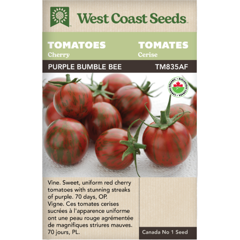 Purple Bumble Bee Cerise Tomates Légumes Graines Biologiques - West Coast Seeds