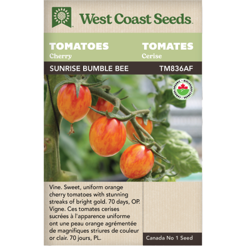 Sunrise Bumble Bee Certified Organic Cherry Tomatoes Vegetables Seeds - West Coast Seeds