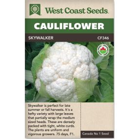 Skywalker F1 (Coated) Certified Organic Main Cauliflower Vegetables Seeds - West Coast Seeds