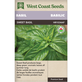 Sweet Certified Organic Genovese Basil Herbs Seeds - West Coast Seeds