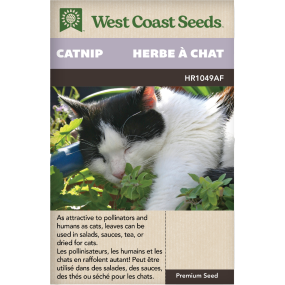 Catnip Catnip Herbs Seeds - West Coast Seeds