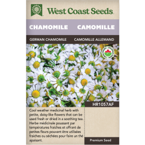 German Chamomile Certified Organic Chamomile Herbs Seeds - West Coast Seeds