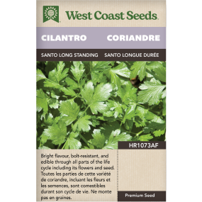 Santo Long Standing Cilantro Herbs Seeds - West Coast Seeds
