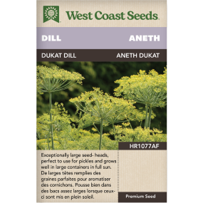 Dukat Annual Dill Herbs Seeds - West Coast Seeds