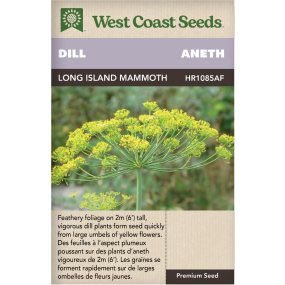 Long Island Mammoth Annual Dill Herbs Seeds - West Coast Seeds