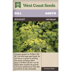 Bouquet Annual Dill Herbs Seeds - West Coast Seeds