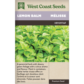 Lemon Balm Lemon Balm Herbs Seeds - West Coast Seeds