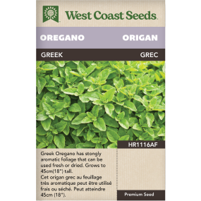 Greek Oregano Herbs Seeds - West Coast Seeds