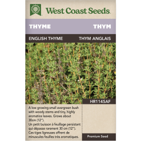 English Thyme Perennial Thyme Herbs Seeds - West Coast Seeds