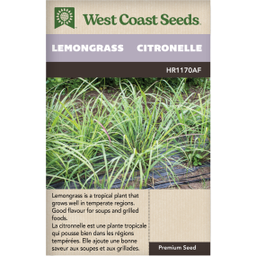 Citronelle Lemongrass Herbes Graines - West Coast Seeds