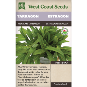 Mexican Tarragon Certified Organic Annual Tarragon Herbs Seeds - West Coast Seeds