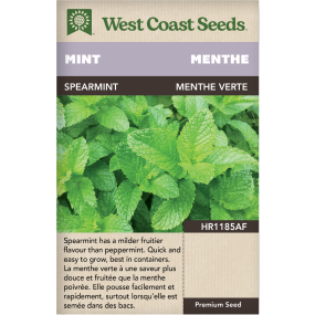 Spearmint Mint Herbs Seeds - West Coast Seeds