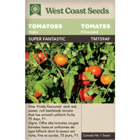 Super Fantastic Principale Tomates Légumes Graines - West Coast Seeds