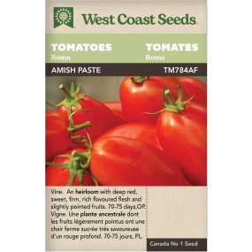 Amish Paste Roma Roma Tomatoes Vegetables Seeds - West Coast Seeds